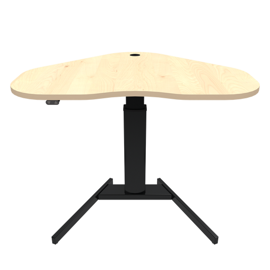Electric Adjustable Desk Single Leg  501-19